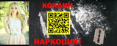 индика Пенза