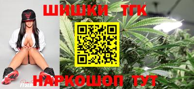 индика Пенза