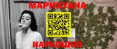 индика Пенза