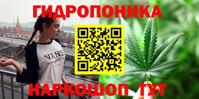 ALPHA-PVP Партизанск