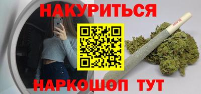 индика Пенза